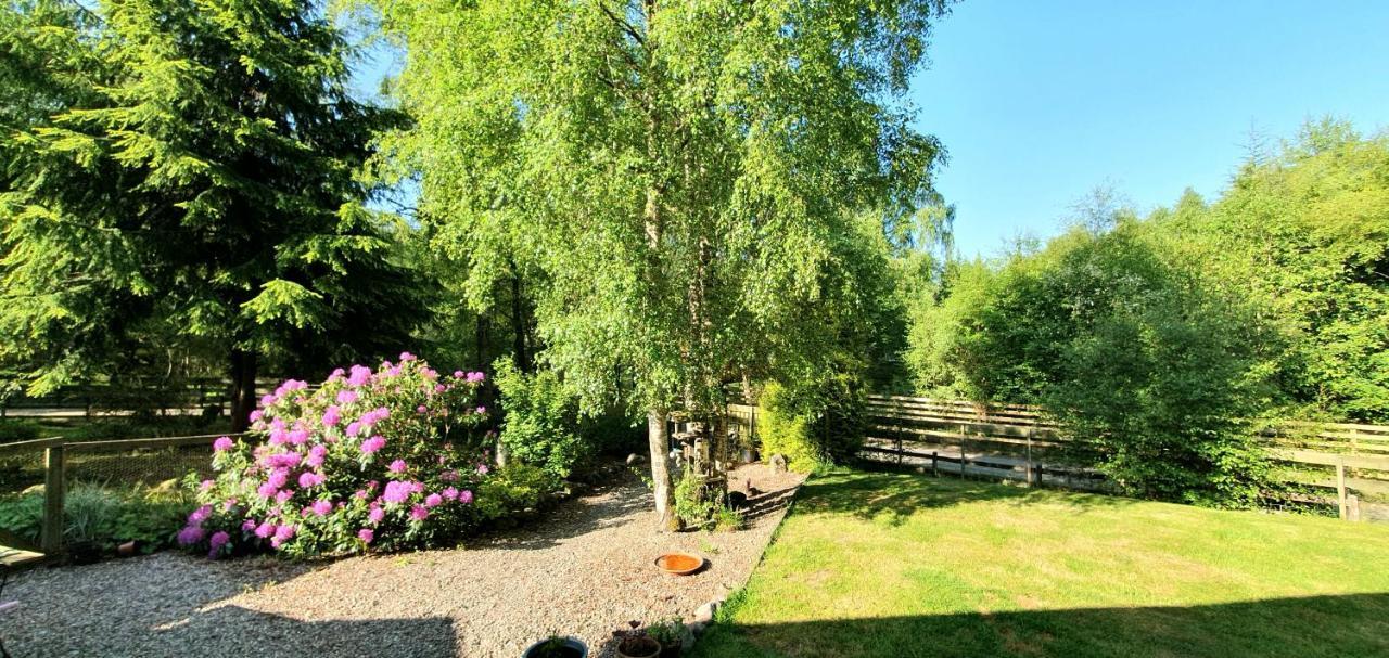 Torcroft Lodges Drumnadrochit Ngoại thất bức ảnh